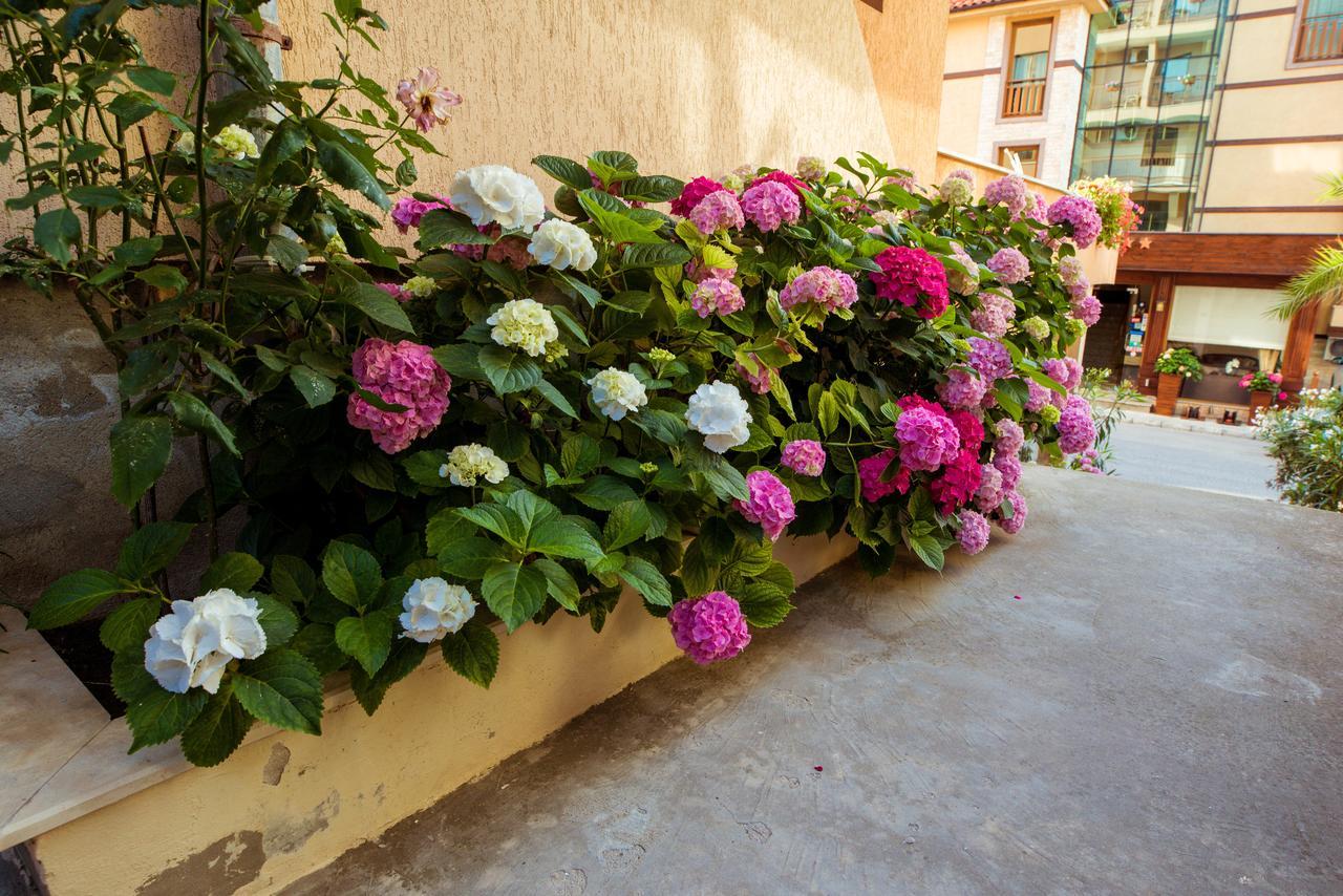 Hotel Orchidea Sozopol Exteriér fotografie