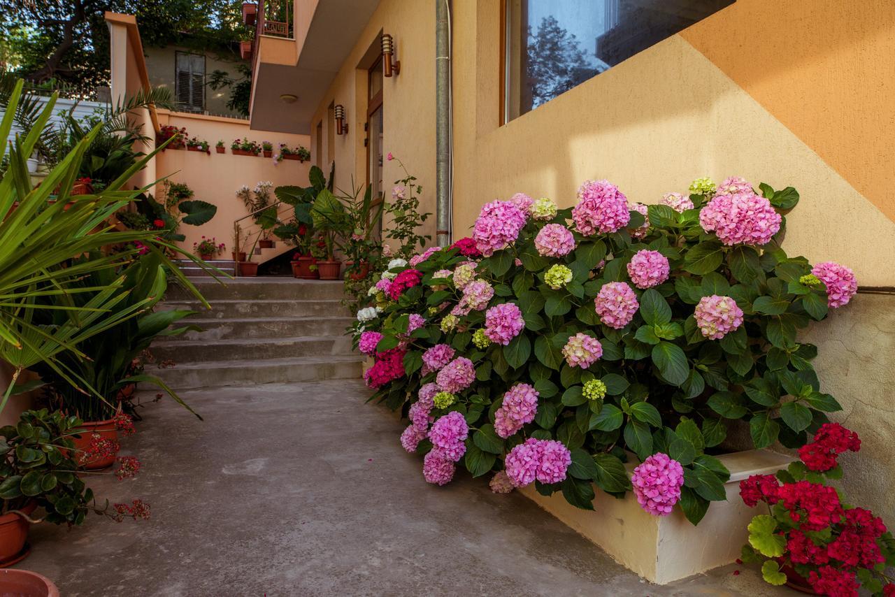 Hotel Orchidea Sozopol Exteriér fotografie